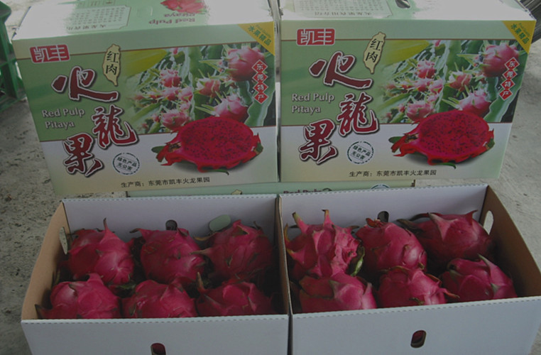 xc sports_不忌口让经期痛不欲生(图1) xc体育