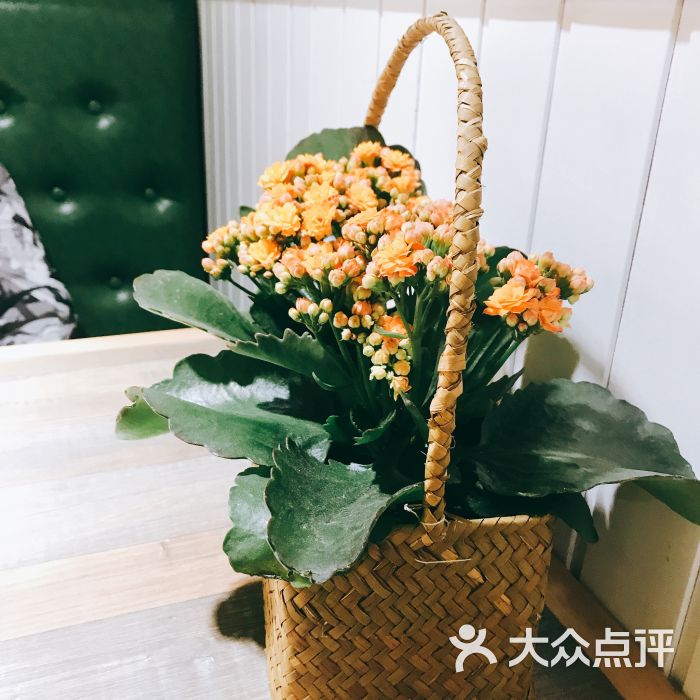 珠【xc sports】(图2) xc体育