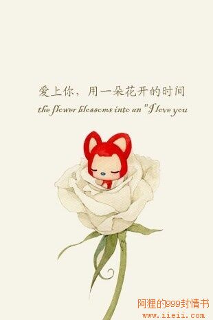 先天应令“xc体育”(图2) xc sports