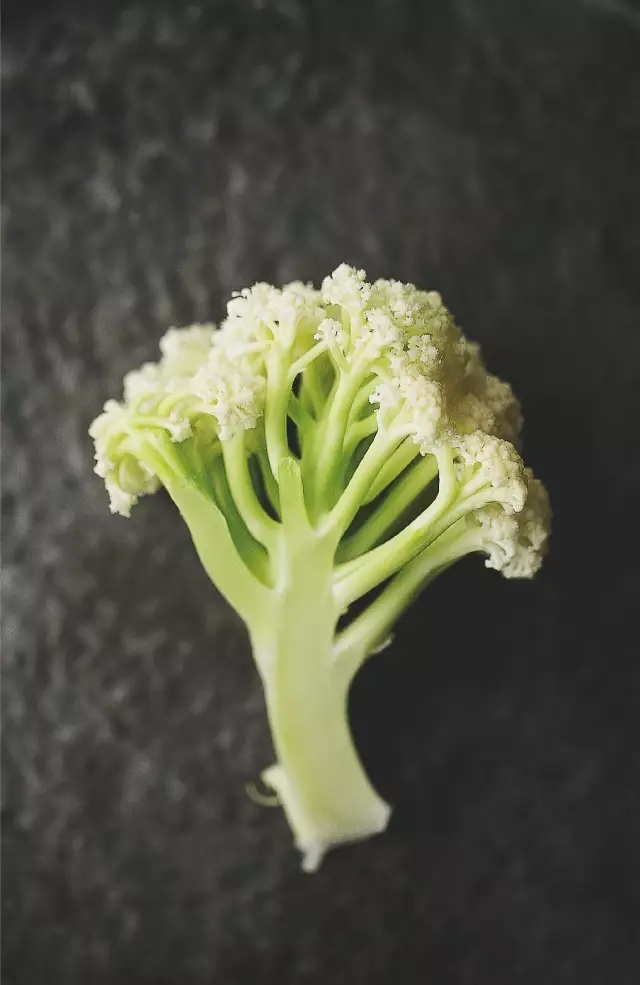 赛百味快餐,体验不一样的美味【xc sports】(图2) xc sports