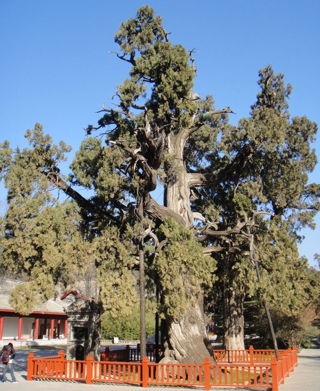 xc体育_10岁女孩产婴 过早生育命更短(图1) xc sports