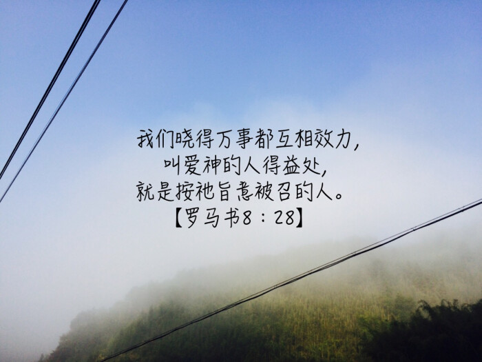 xc体育_安徽出台全国首个节约型餐饮评价标准(图2) xc sports