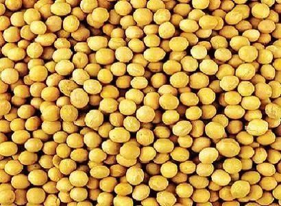 女足20岁小将秀马赛回旋惊艳全场 近3万球迷欢呼_xc sports(图2) xc体育