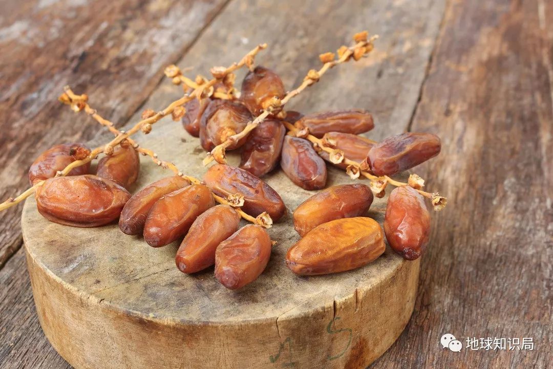 “xc体育”醉眠(图1) xc sports