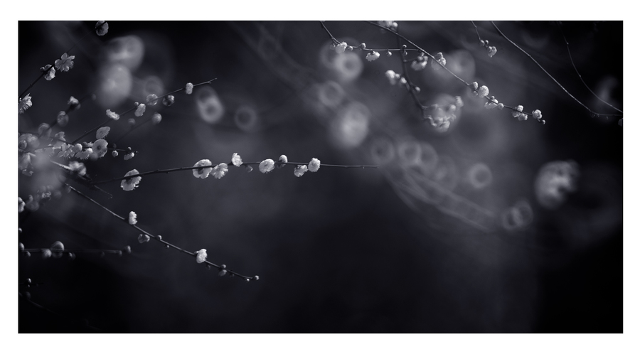 【糖葫芦】听说新人都特别红?:xc sports(图3) xc sports