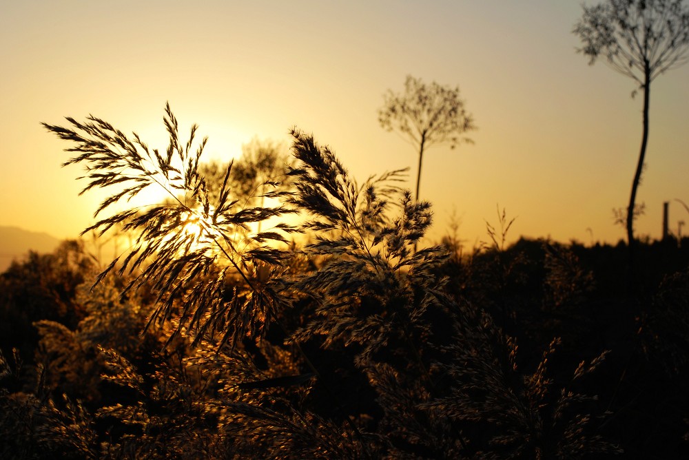 xc体育-统计-女足射门不及美国一半 王飞全场献3次扑救(图2) xc sports