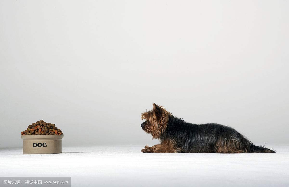 火花主场再胜天空_xc体育(图1) xc sports