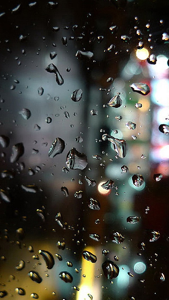 xc体育_APEC餐饮服务(会议餐菜单后厨)揭秘(图1) xc体育