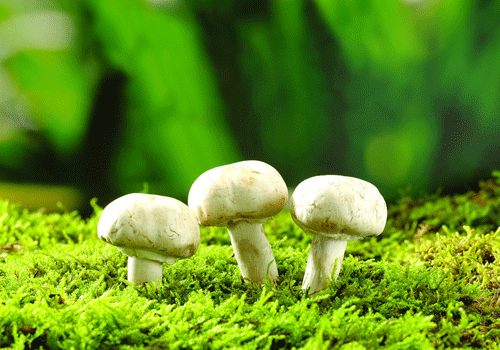 3日美联推荐:亚特兰大联VS洛杉矶银河-xc体育(图1) xc体育