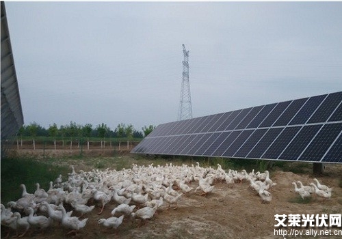 果之满满,鲜榨果蔬汁_xc sports(图2) xc体育