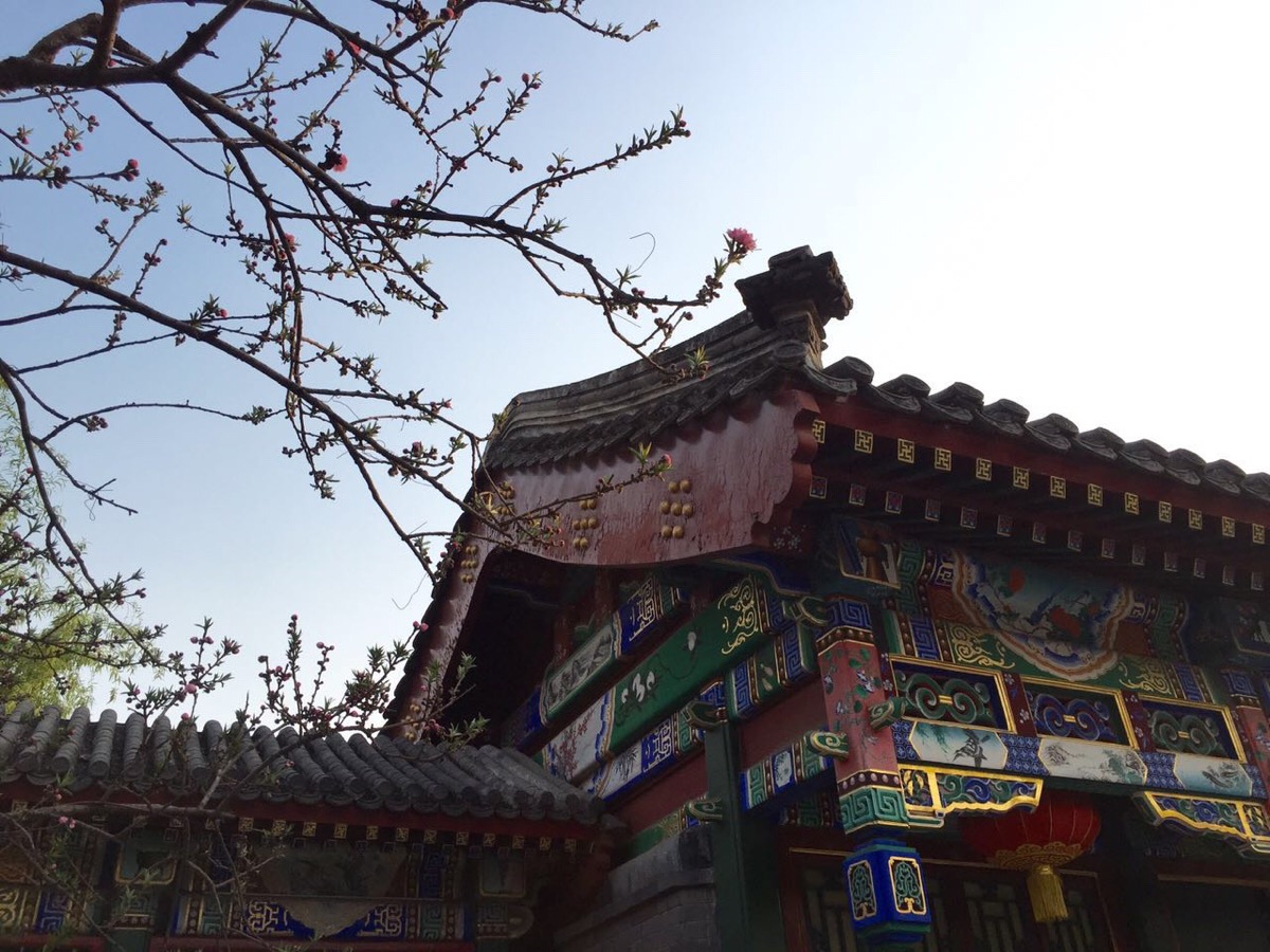 子宫肌瘤的危害是什么 会导致不孕吗:xc sports(图1) xc体育