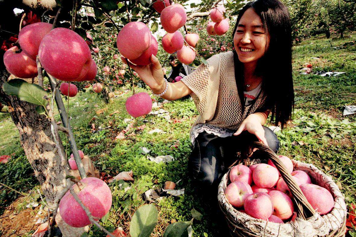 经期8步走 远离妇科病-xc体育(图2) xc sports