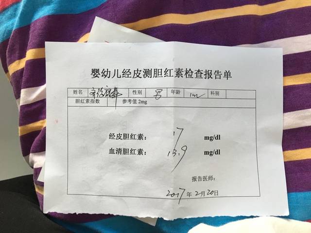 xc体育