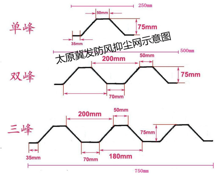 xc体育