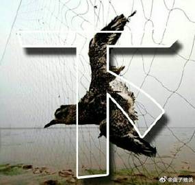 xc体育