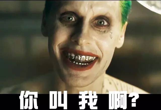 xc体育