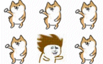 xc体育
